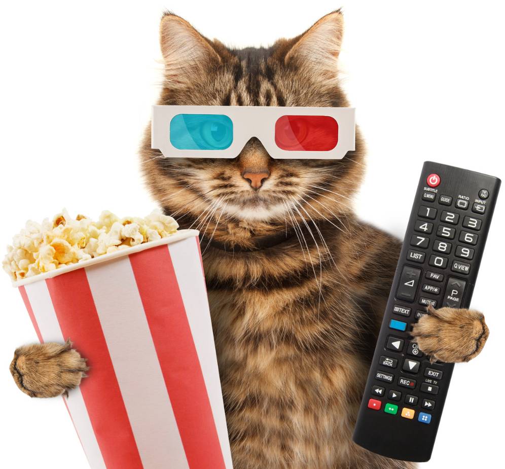Kit 1000x1000